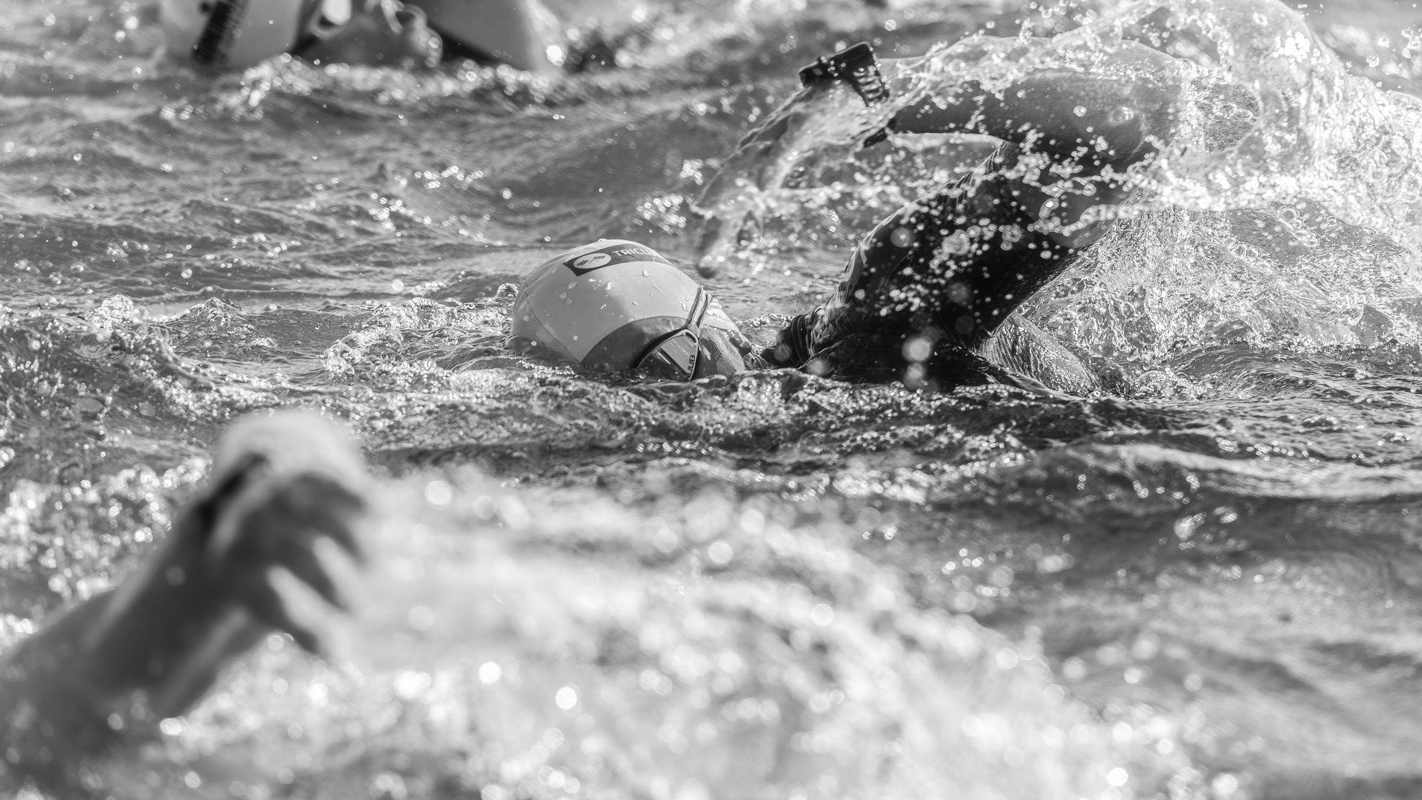 Swimming race - symbolic image
