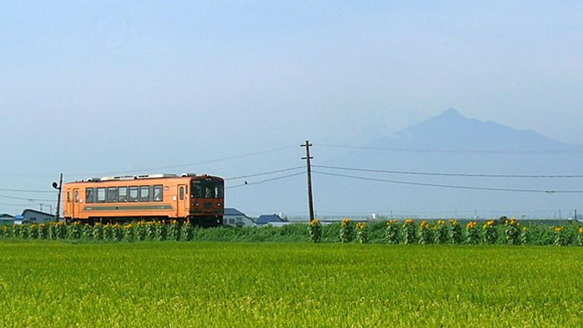 Suzumushi Autumn Train