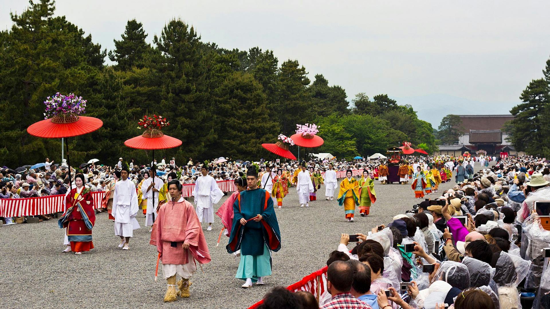 Aoi Festival