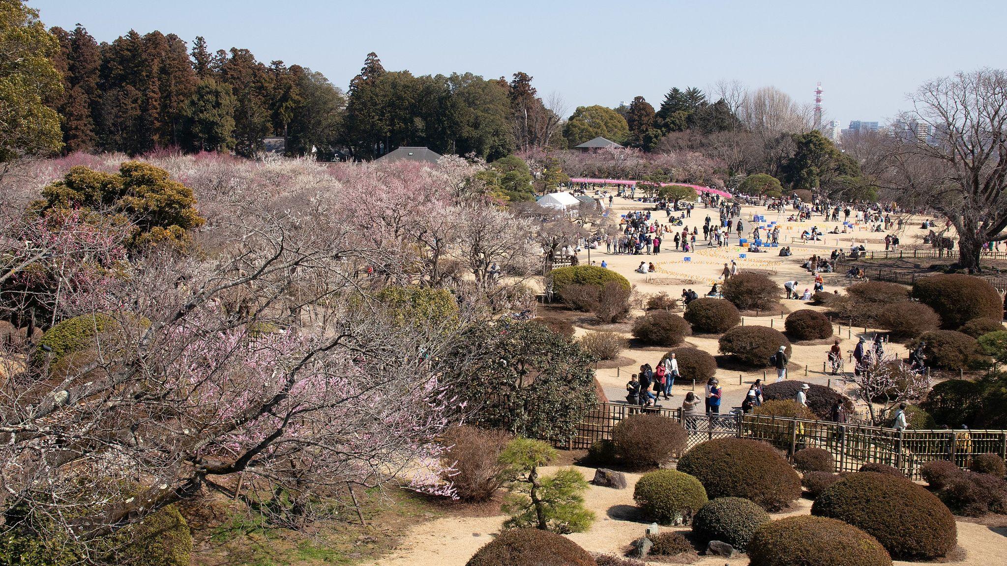 Kairaku-en Garden in Mito