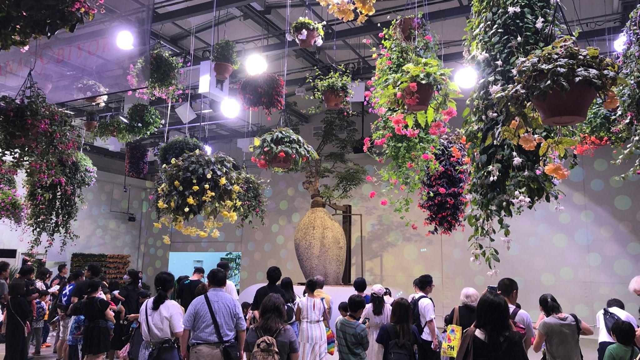 Flowers and Digital Art Show at Hana-Biyori