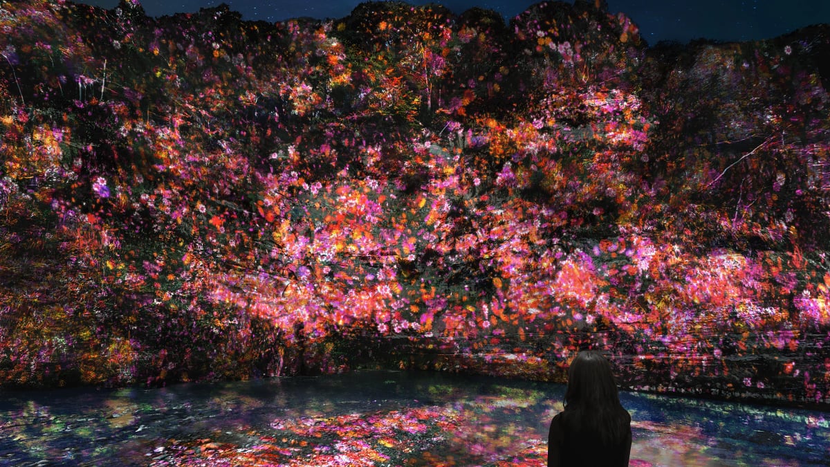 teamLab: Yoro Keikoku