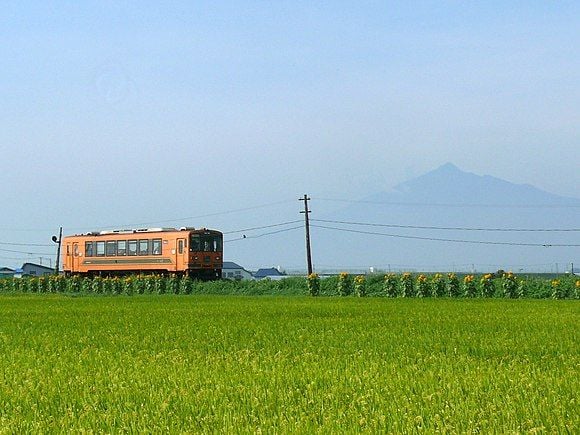 Suzumushi Autumn Train