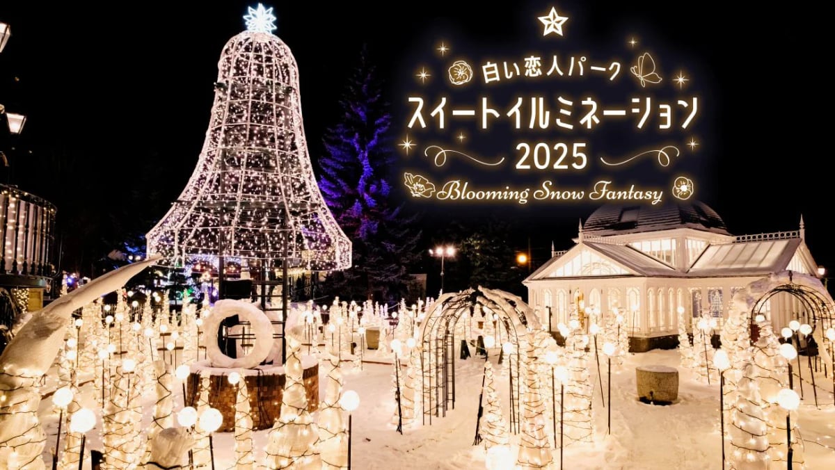 Shiroi Koibito Park Sweet Illumination