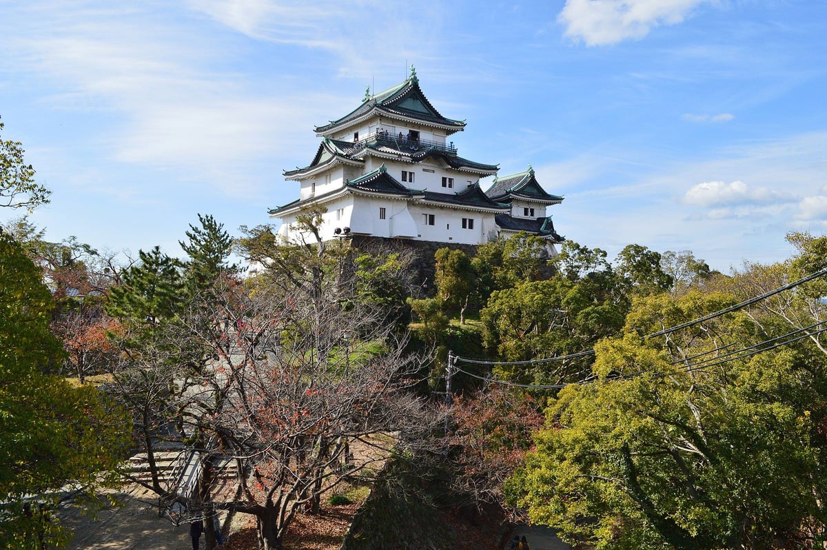 Wakayama Castle Exterior