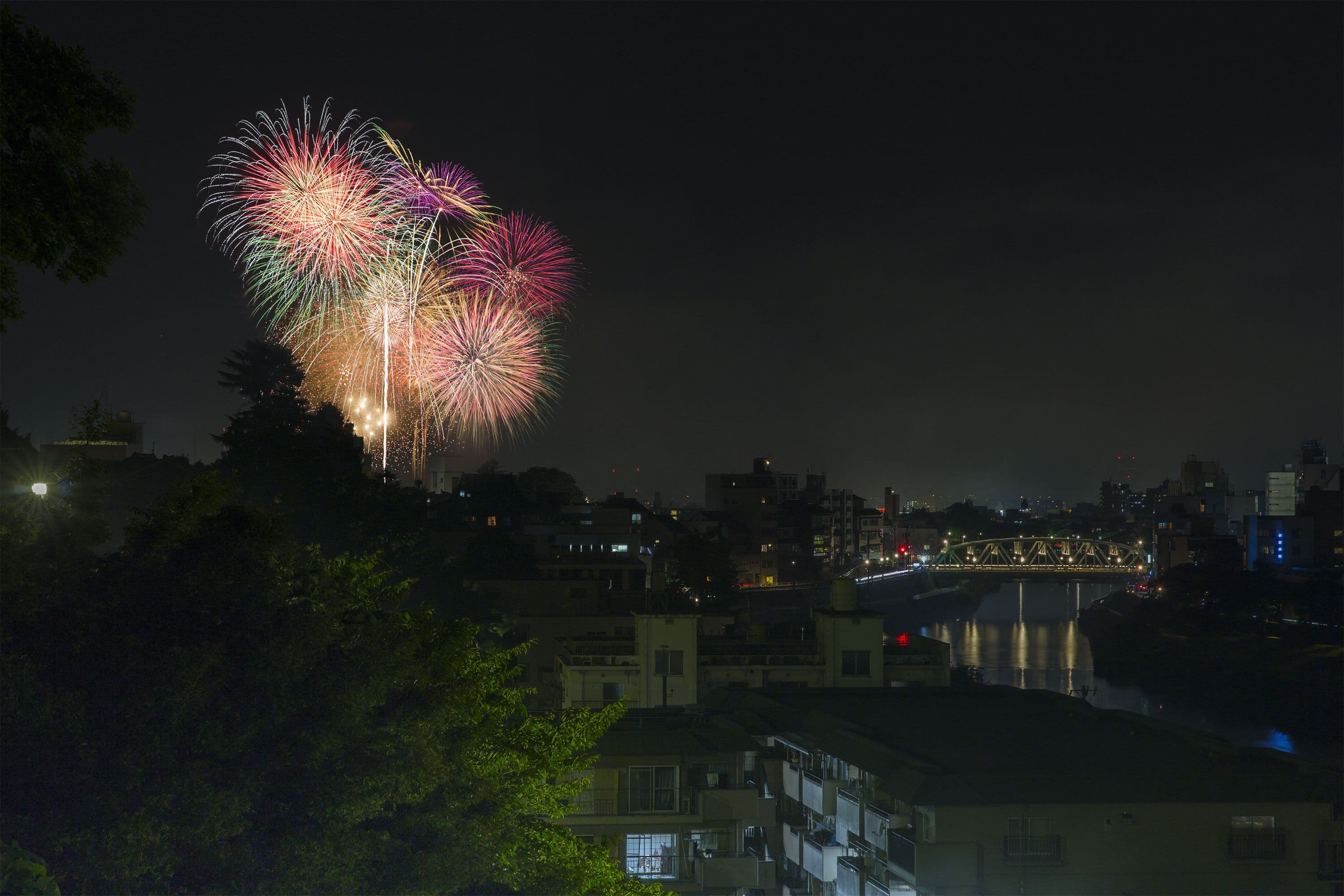 Hokkoku Firework