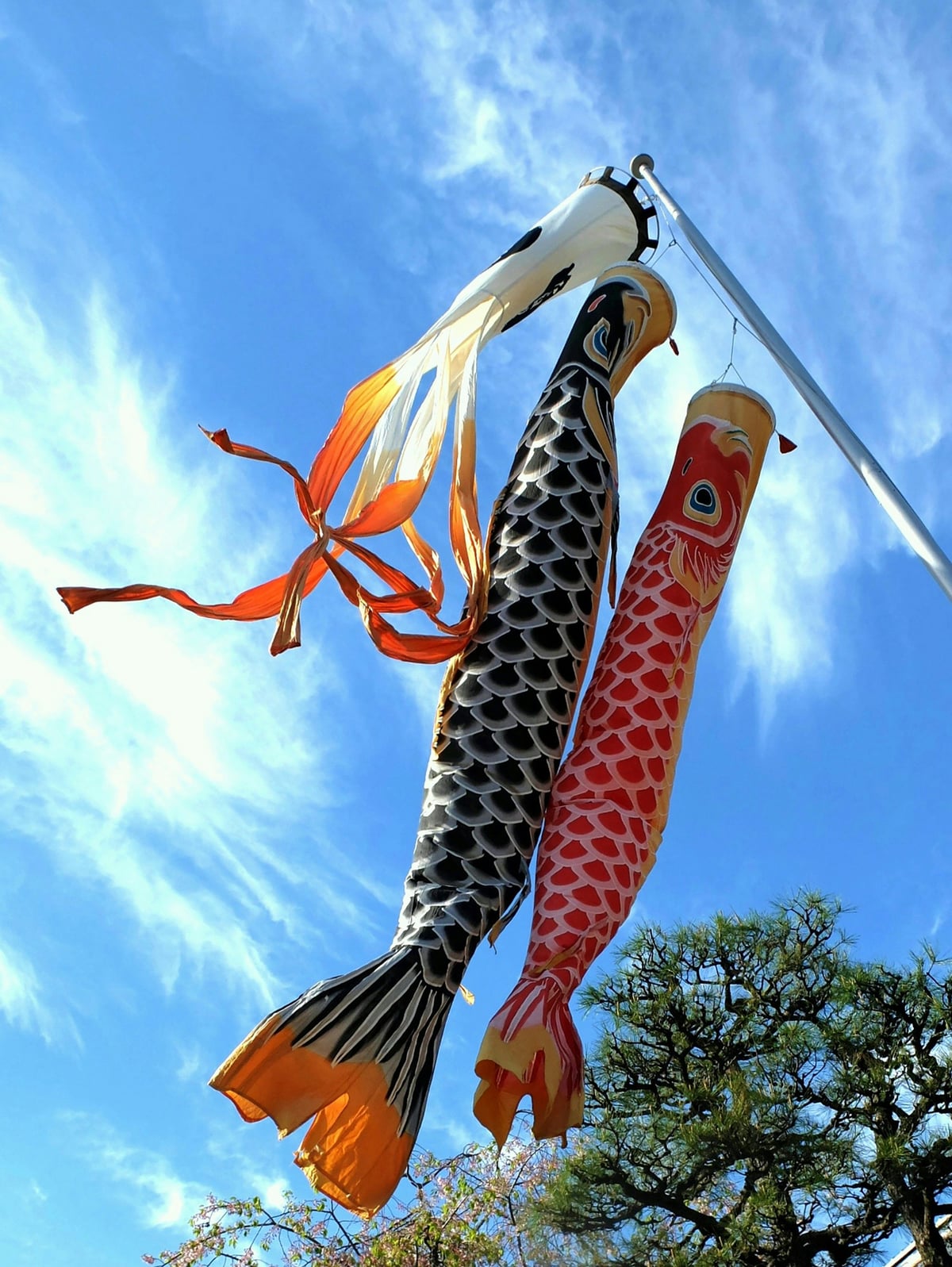 Koinobori