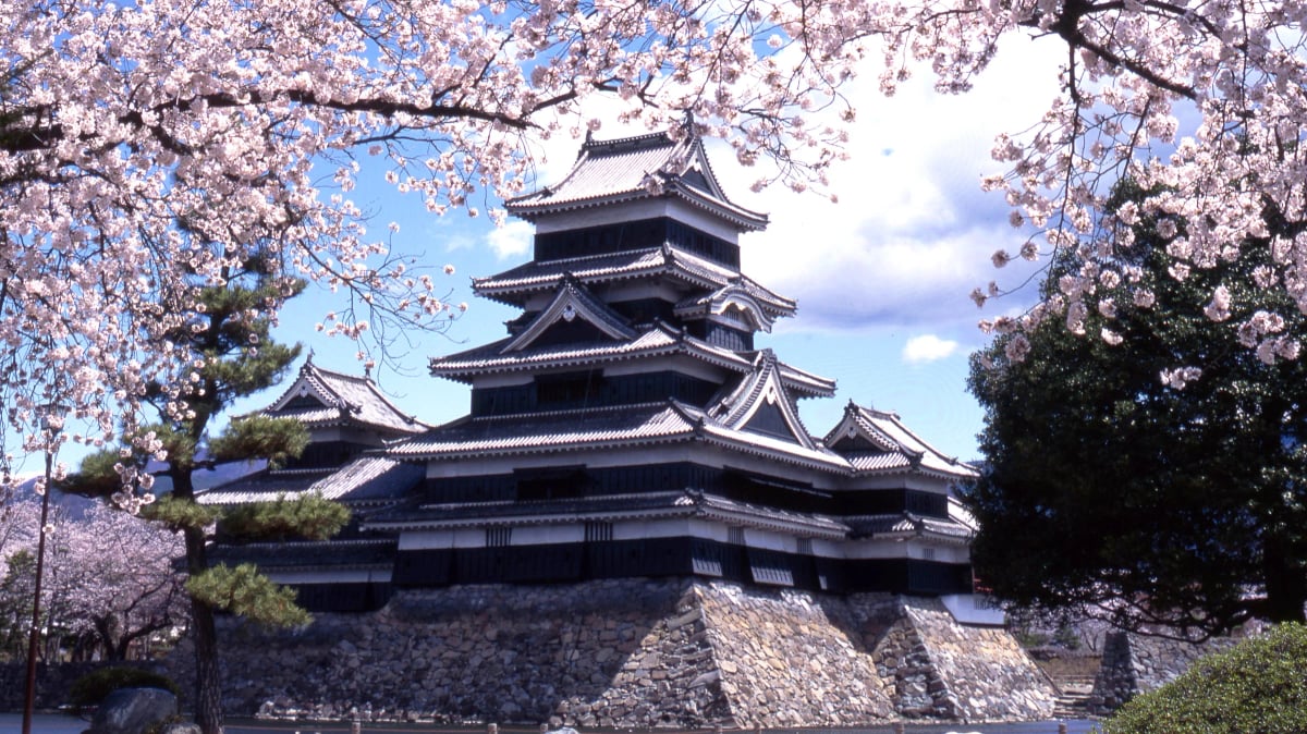 Matsumoto Castle in Spring
